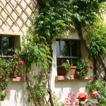 Toskana Urlaub Ferienwohnungen Hausfront