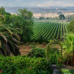 Toskana Urlaub Ferienwohnungen Blick ins Tal